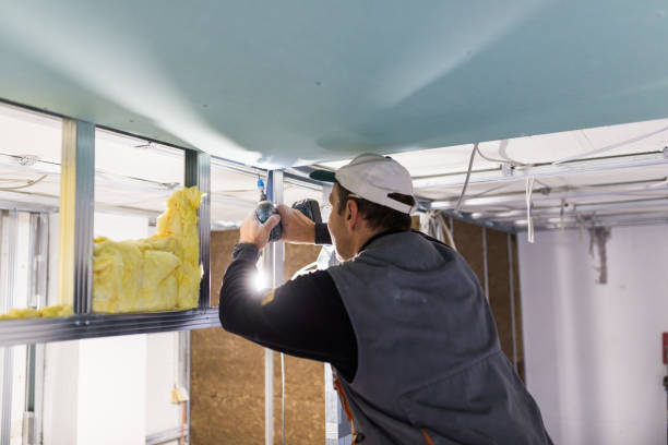 Best Affordable Insulation Services  in Maunawili, HI