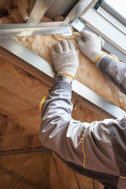 Best Insulation Replacement Services  in Maunawili, HI