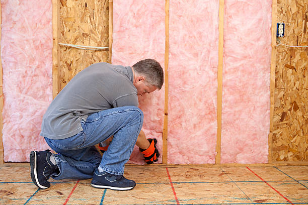 Best Insulation for New Construction  in Maunawili, HI